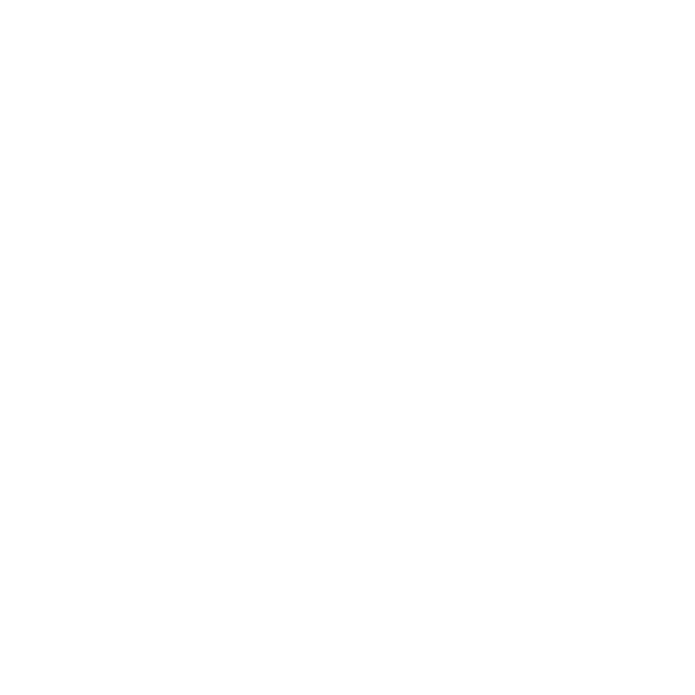steam